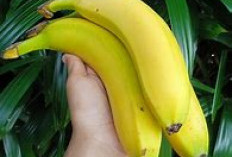 Waspada! 7 Buah Ini Diam-Diam Bisa Gagalkan Dietmu