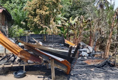 Sijago Merah Hanguskan Rumah Sekaligus Warung Manisan