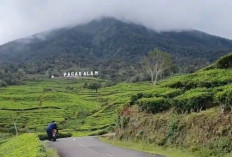 2 Dunia 1 Provinsi: 7 Wisata Alam & Ikonik Buatan Ini Buktikan Sumsel Pantas Masuk Bucket List Liburan Kece!