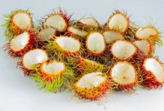 Mulai Sekarang Jangan Lagi Membuang Kulit Rambutan, Ternyata Banyak Manfaatnya lo!