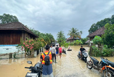Warga Desa Gunung Megang Dalam Kebanjiran