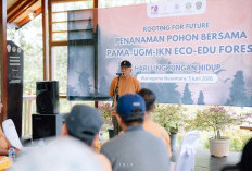 IKN Disiapkan Menjadi Laboratorium Alam untuk Pendidikan, Riset, dan Konservasi