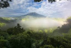 10 Gunung di Sumatera, Bisa Tebak Gunung Mana Berada di Titik Tertinggi?