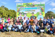 PT United Tractors dan Anak Usaha Tanam 300 Pohon Buah, Dukung Ketahanan Pangan Terpadu di Muara Enim