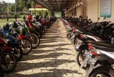 Daerah dengan Sepeda Motor Terbanyak hanya di 3 Daerah Ini, Ini Alasannya!