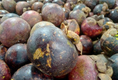 Rasanya Yang Manis dan Sedikit Asam, Manggis Menyimpan Banyak Manfaat Kesehatan