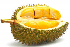 Benarkah Durian Bisa Picu Darah Tinggi? Ini Fakta yang Sering Disalahpahami