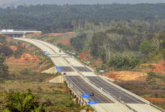 Sumsel Dikelilingi 4 Tol Penomenal, Ekonomi Melesat dan Lalu Lintas Angkutan Barang Antar Provinsi Lancar