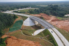 Terobos Hutan & Rawa! 4 Tol Raksasa Sumsel Siap Ubah Daerah Terpencil Jadi Pusat Ekonomi