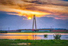 Tol Prabumulih-Palembang, Pengendara Disuguhkan Pemandangan Alam Tanjung Senai Nan Eksotis   