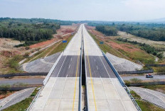 Sumsel Ngebut Bangun 4 Tol Raksasa: Dari Hutan ke Pusat Ekonomi Baru!