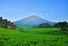 2 Wisata Sejuk di Sumsel: Gunung Dempo & Danau Ranau, Surga Adem Bikin Betah