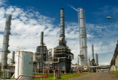 Inspirasi untuk Indonesia, Sumsel dalam Transisi Energi Hijau