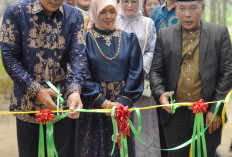 25 Tahun Warga Berharap, Bupati Edison Wujudkan Jembatan Gantung Desa Danau Rata di Sungai Rotan