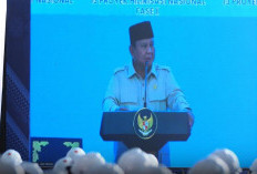 Hilirisasi Rp116 Triliun Digas! Prabowo Tancap Gas 13 Proyek Strategis!
