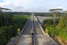 Jalan Tol Sumsel Bukan Hanya Ruas Panjang Beraspal dan Beton Mulus, Tapi Mesin yang Menggerakan Ekonomi
