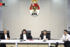 KPK Mulai Selidiki Dugaan Korupsi Pengadaan Sapi di Kementan