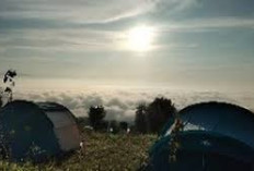 Embun Glamping: Pengalaman Berkemah Mewah di Kaki Gunung Dempo