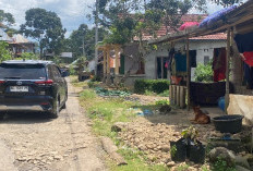 Jalan Simpang Meo-Pulau Panggung Jadi Prioritas