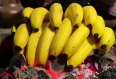 Sensasi Pisang Lilin Bakar, Sederhana Namun Sangat Nikmat!