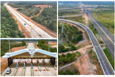 Masyarakat 2 Provinsi Dominan Menikmati Tol Palembang-Jambi Persembahan Negara yang Segera Rampung