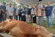 Pemotongan Hewan Kurban di Rumdin Wabup, Berlangsung Haru dan Bahagia