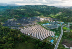 Sumsel Poros Baru Ekonomi Hijau Indonesia: 15 PSN Dongkrak Infrastruktur, Investasi, dan Energi Berkelanjutan
