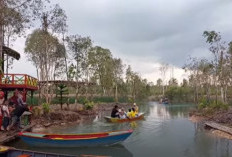 Cuma 5 Ribu Bisa Wisata Alam di Banyuasin, Duit Kamu Masih Buat Ngopi? Ini Lokasinya dekat dengan Palembang