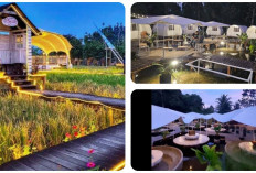 Wisata Baru di Pagaralam: Bumi Cawang Riverside and Glamping Estetis dan Eksotis