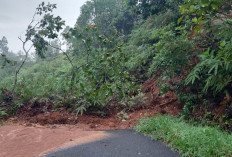 Akses Jalan Provinsi Muara Enim-Lahat Tertimbun Longsor