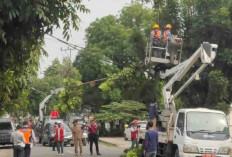 Tingkatkan Pelayanan, Tim GabunganPLN Muara Enim Pangkas Ranting Pohon