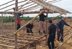 Program MHBM MHP Dipertanyakan, Warga Ambil Alih Tanah Marga 