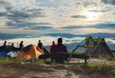 Unik dan Berkesan, Ini Glamping Paling Hits dan Instagramable di Pagaralam