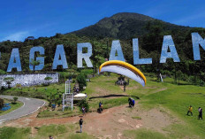 7 Fakta Kota Pagar Alam dengan Panorama Pegunungan Memukau, Nomor 2 Bikin Banyak Orang Ingin Berkunjung