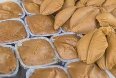 Resep Kue Apang Gula Merah Enak dan Lezat