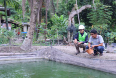 Program Desa Impian Antarkan PTBA Raih Penghargaan Internasional