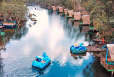 Muara Enim: 2 Danau Cantik yang Wajib Dikunjungi di Sumatera Selatan  