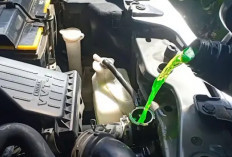 Keuntungan Sering Mengecek  Air Radiator Sigra-Calya