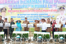 Pemkab Muara Enim Luncurkan Program Pupuk Murah dan Tanam Padi IP200 