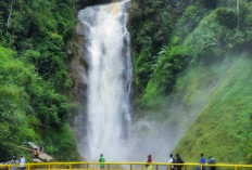 Wisata Air Terjun Tertinggi di Sumatera Selatan, Ini Lokasinya!