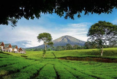 Sumsel Miliki 2 Permata Wisata Sejuk dan Menenangkan, Ini Lokasinya!