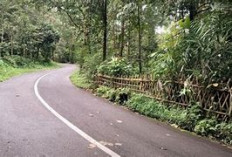 Rahasia di Balik Peta Sumsel: Jarak Kota-Kabupaten yang Bikin Kamu Kaget!