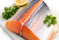 8 Khasiat Ikan Salmon