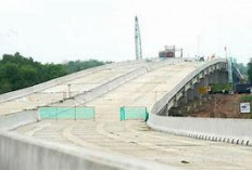 Bukan Jakarta! Sumsel Punya 15 Proyek Triliunan, Siap Jadi ‘Jantung Ekonomi’ Indonesia Berikutnya