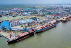 Pelabuhan Tanjung Carat Jadi Kunci, Sumsel Siap Geser Dominasi Lama dan Dorong Ekspor Nasional Melonjak