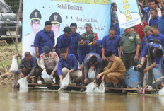 Jaga Ekosistem, Tebar 148 Ribu Benih Ikan Diempat Kecamatan di Kabupaten PALI