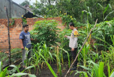 Inisiatif Ketahanan Pangan: Bhabinkamtibmas Polsek Lembak Ajak Warga Lubuk Semantung Manfaatkan Pekarangan