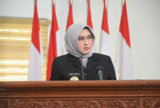 KPK Temukan 9 Kotak Jam Mewah di Rumah Fadia Arafiq, Mayoritas Diduga Rolex