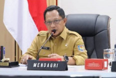 Gaji PPPK Jadi Dilema Daerah, Pemerintah Pusat Siap Bedah APBD