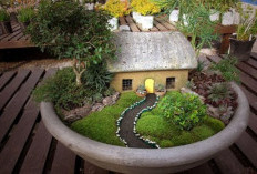 Mini Garden: Tren Taman Mini Bikin Ruang Kecil Jadi Asri dan Elegan